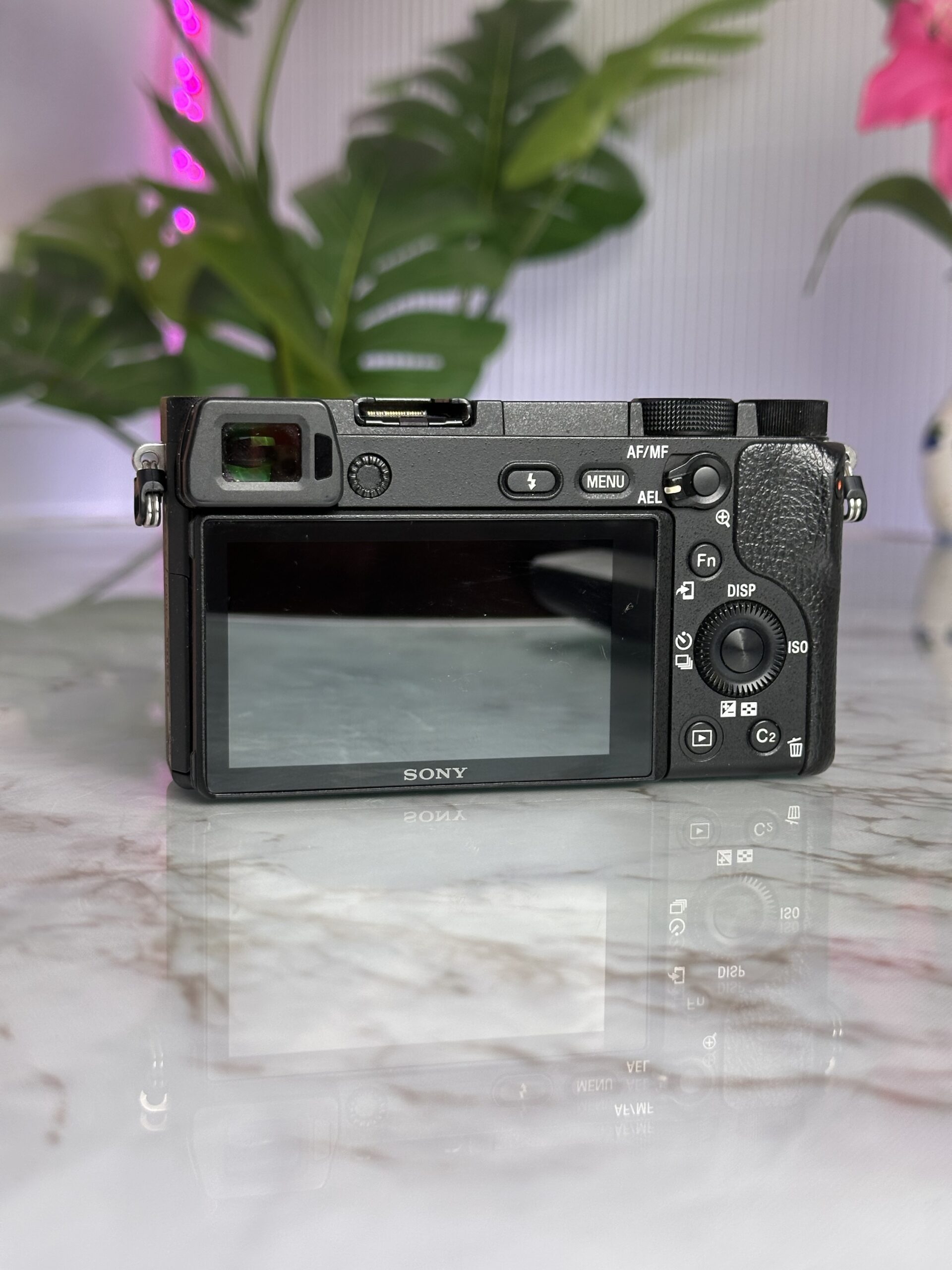 SONY A6300 + OBJETIVO - Imagen 3